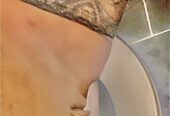 🫦 🫦 Gabrielle. Lækker Brasilien. SØD OG FRÆK TIL.💋 Bedste Kæresteoplevelse🫦 🫦. Gabrielle. HOT Brazil. Sweet AND Naughy FOR.💋 BEST Girlfr