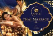 Thai Blue Diamond 💎 ( Kolding ) ☎️ Sms 91603895 ❤️