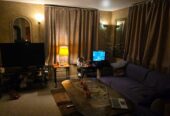 Hej – HOBROLANDEVEJ 98 TJELE NR VINGE 8830 Fitrst Gang In Denmark Dejlige Exotiske Luxusmodele Luna 28 Aar fra Jamaica Full Superservise Qualitet Ople